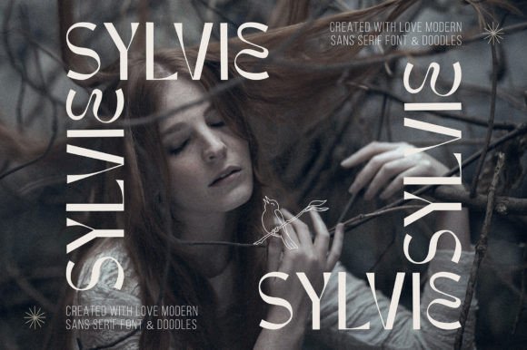 Sylvie Font for Elegant Campaign Headlines and French-Inspired Branding